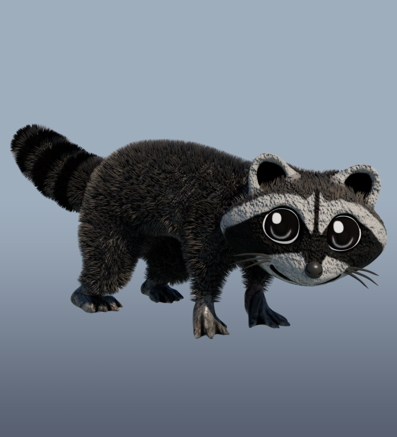 BT_Raccoon_1_Header