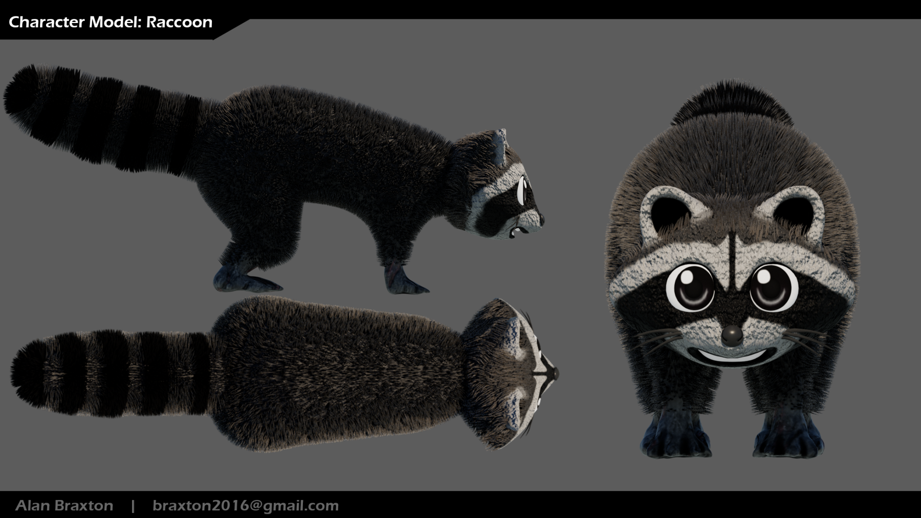 BT_Raccoon_1_ModelSheet_Perspective