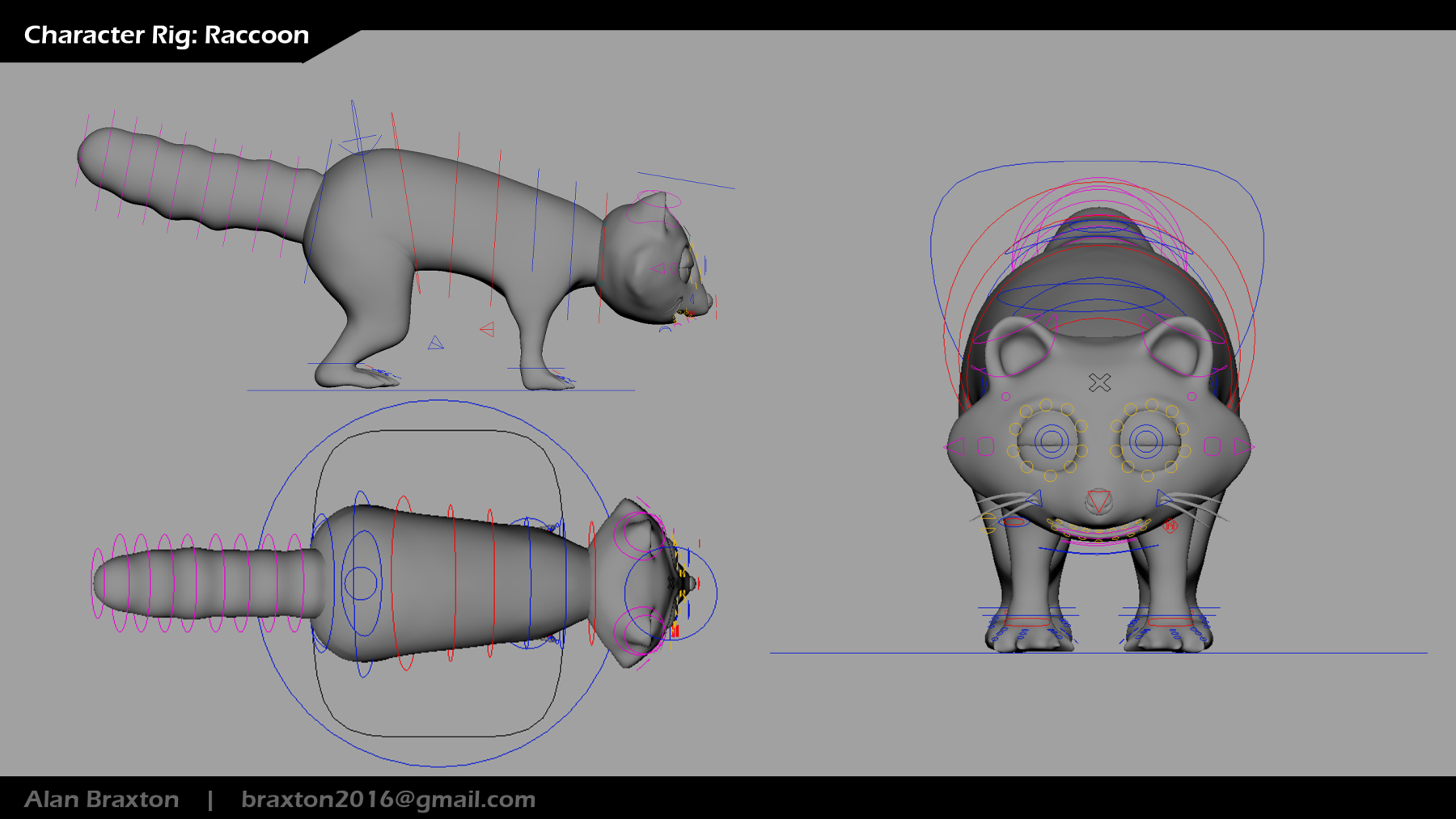 BT_Raccoon_1_ModelSheet_Perspective_Rig